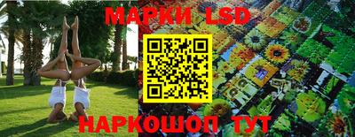 ешки Абакан