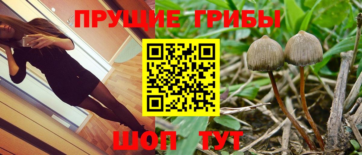 Галлюциногенные грибы MAGIC MUSHROOMS Ангарск